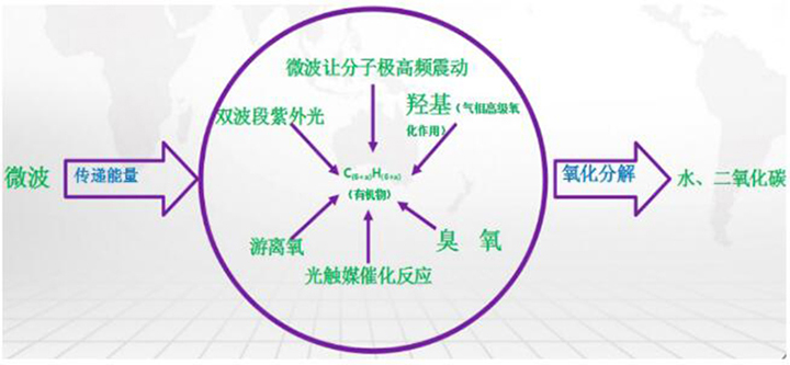 QQ截图20190304142649.jpg