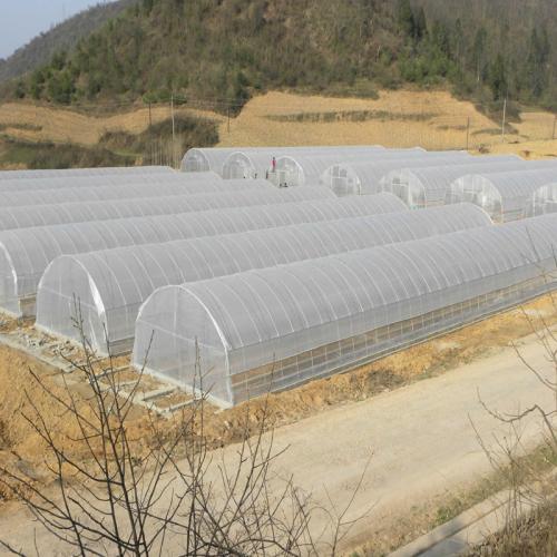 大棚塑料防雾剂怎样用