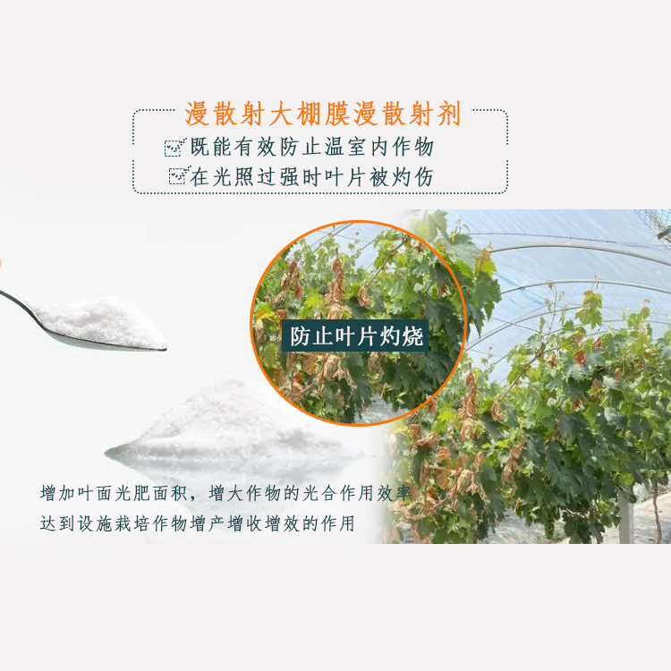 漫散射大棚膜漫散射剂主图2.jpg